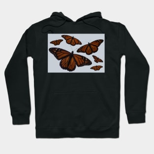 Migration Collage Hoodie